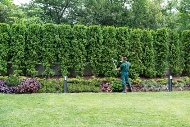 Best Lawn Irrigation Installation and Maintenance  in Keuka Park, NY